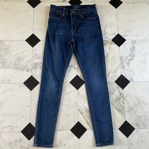 Lucky Brand Bridgette High Rise Skinny Jeans